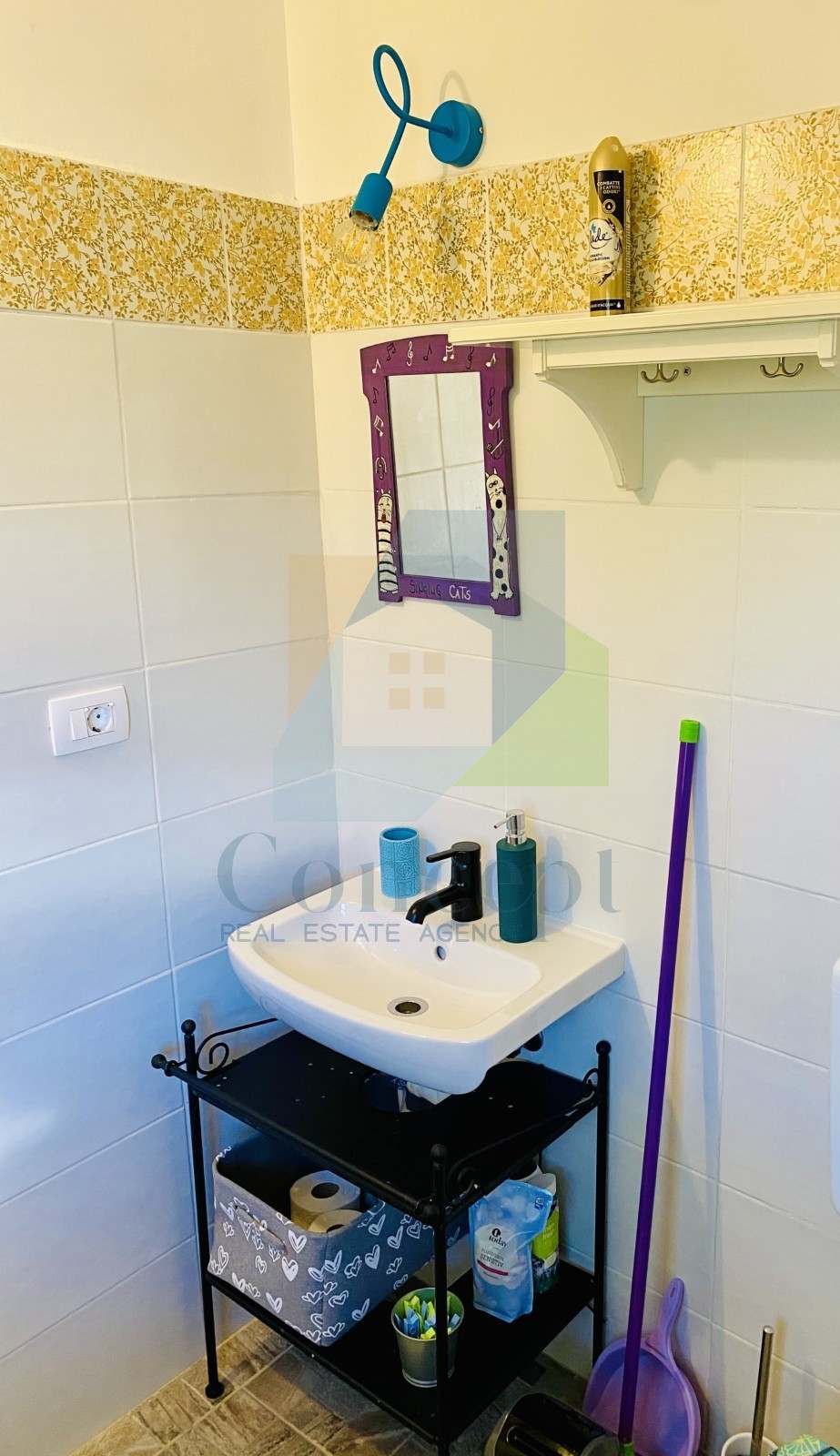 Istra, Grožnjan, Casa bifamiliare con 4 unità abitative e giardino