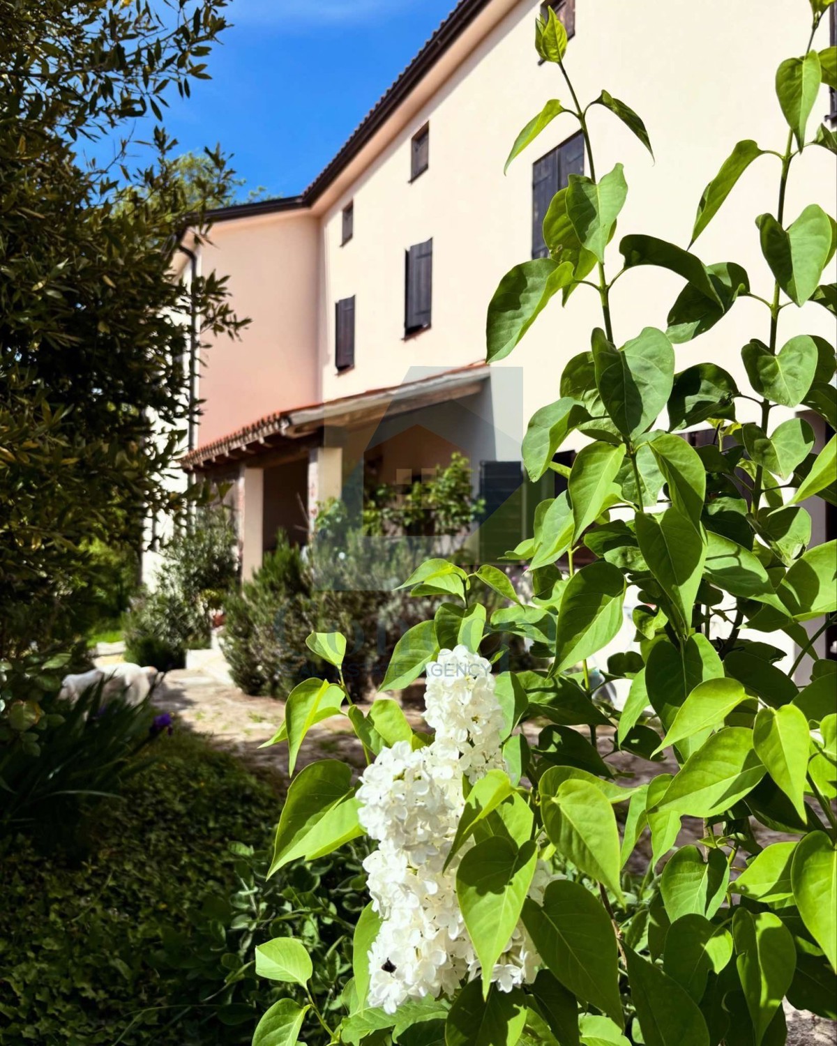 Istra, Grožnjan, Casa bifamiliare con 4 unità abitative e giardino