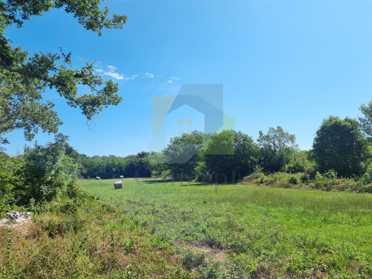 Poreč, Baderna - EKSKLUZIVA AGENZIE - Terreno edificabile con non edificabile, a 20 km dal mare