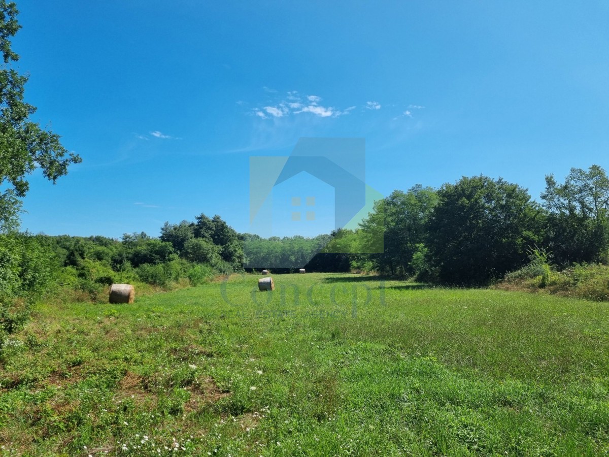 Poreč, Baderna - EKSKLUZIVA AGENZIE - Terreno edificabile con non edificabile, a 20 km dal mare