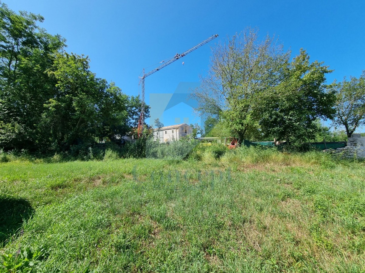 Poreč, Baderna - EKSKLUZIVA AGENZIE - Terreno edificabile con non edificabile, a 20 km dal mare