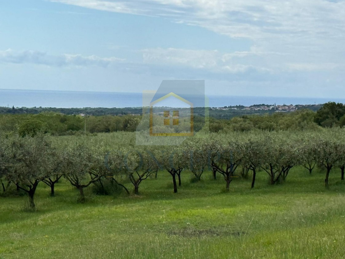 Poreč, dintorni, Terreno edificabile con vista mare, a 10 km dal mare