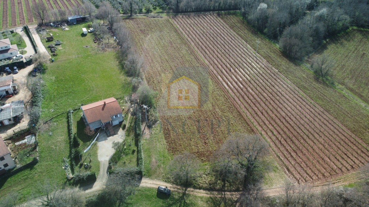 Poreč, dintorni, Terreno edificabile con destinazione agricola in posizione tranquilla, a 12 km dal mare