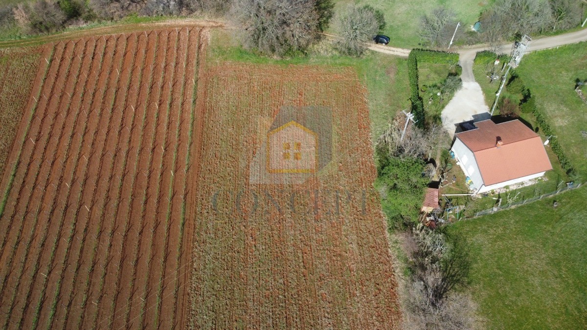 Poreč, dintorni, Terreno edificabile con destinazione agricola in posizione tranquilla, a 12 km dal mare