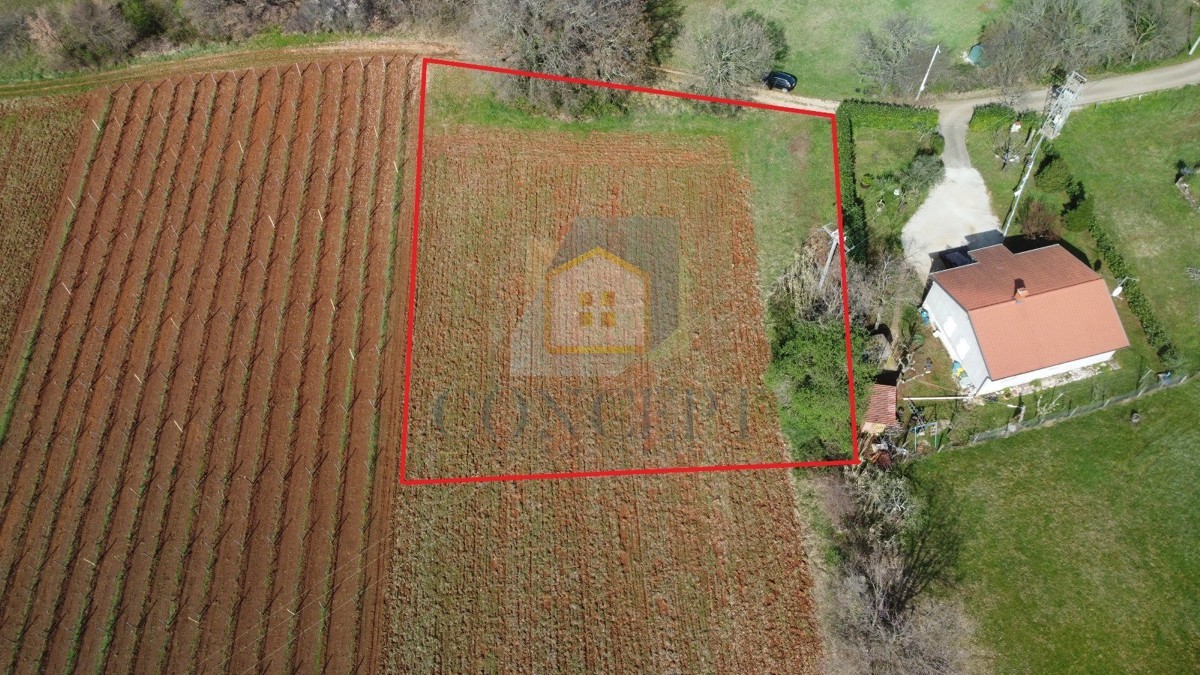 Poreč, dintorni, Terreno edificabile con destinazione agricola in posizione tranquilla, a 12 km dal mare