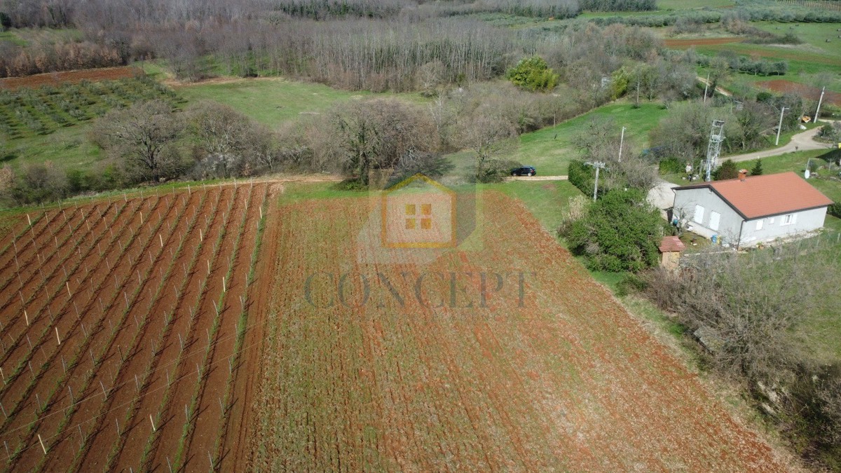 Poreč, dintorni, Terreno edificabile con destinazione agricola in posizione tranquilla, a 12 km dal mare