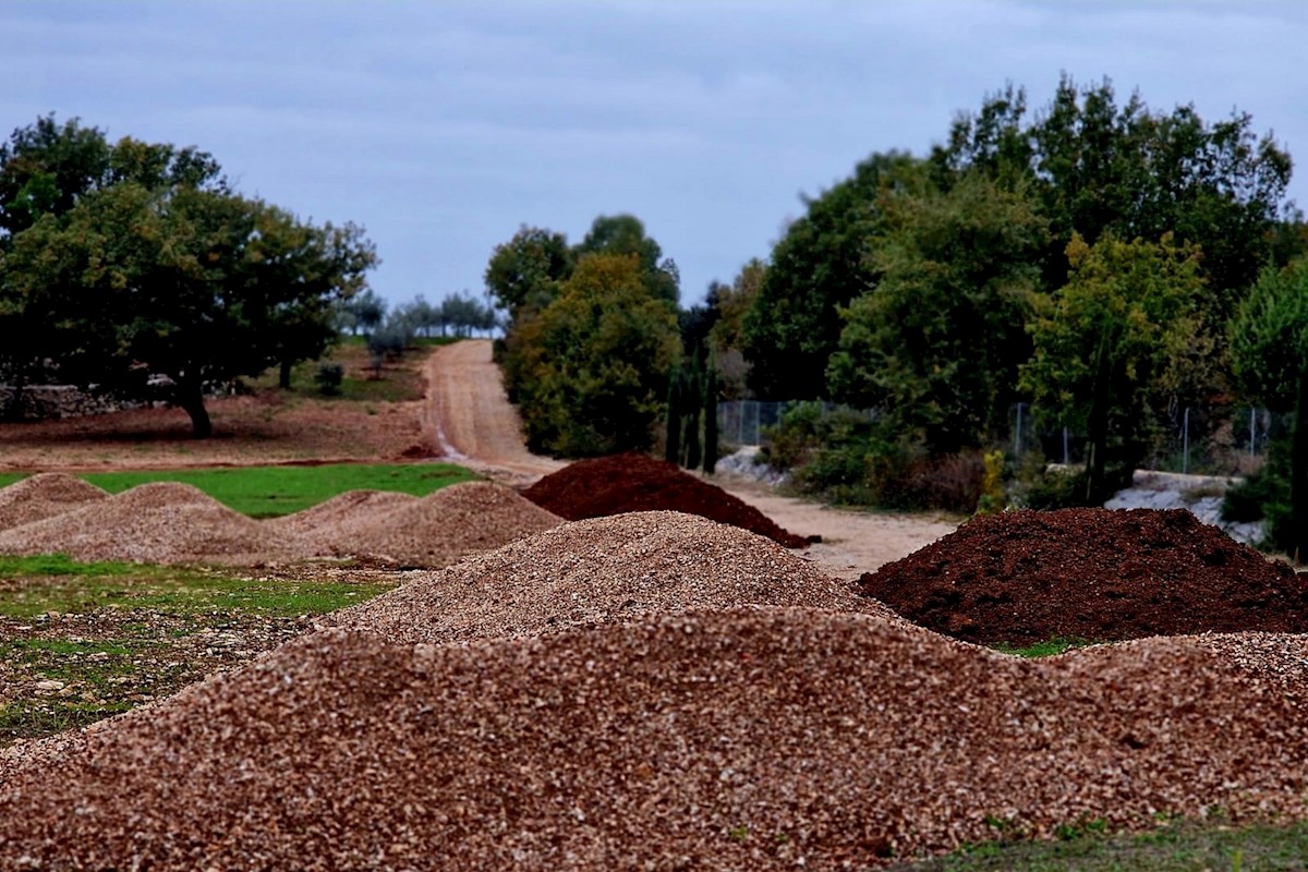 Terreno esclusivo con uliveto e progetto per una casa