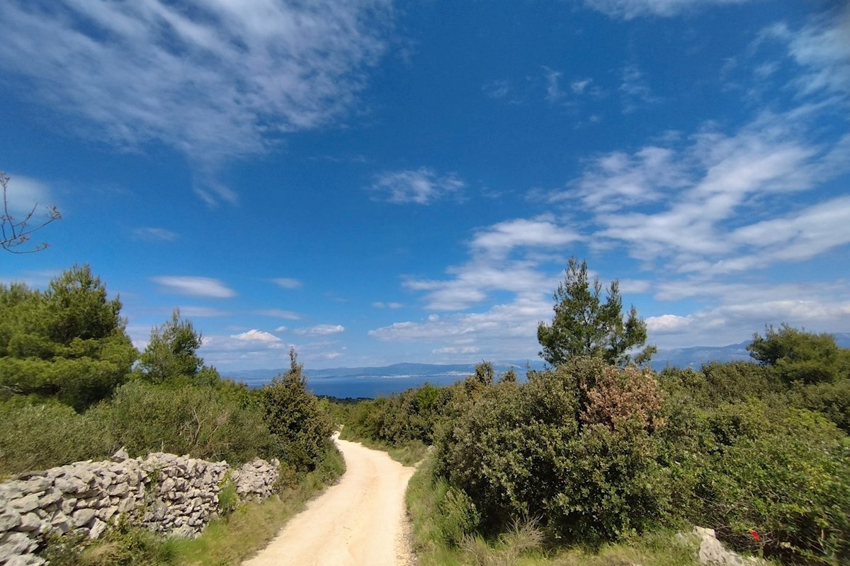 Brač, terreno 35.000 m2 con vista mare