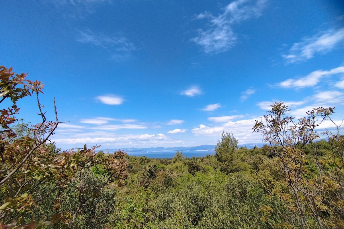 Brač, terreno 35.000 m2 con vista mare