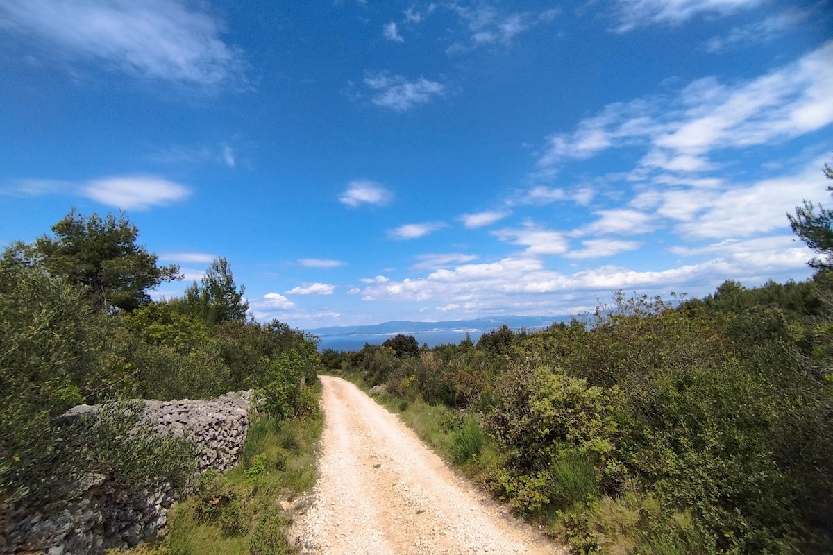 Brač, terreno 35.000 m2 con vista mare