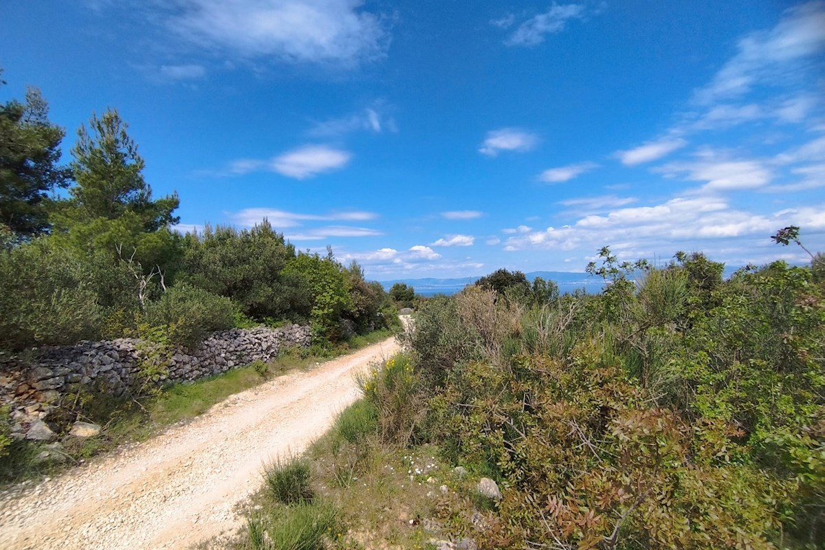 Brač, terreno 35.000 m2 con vista mare