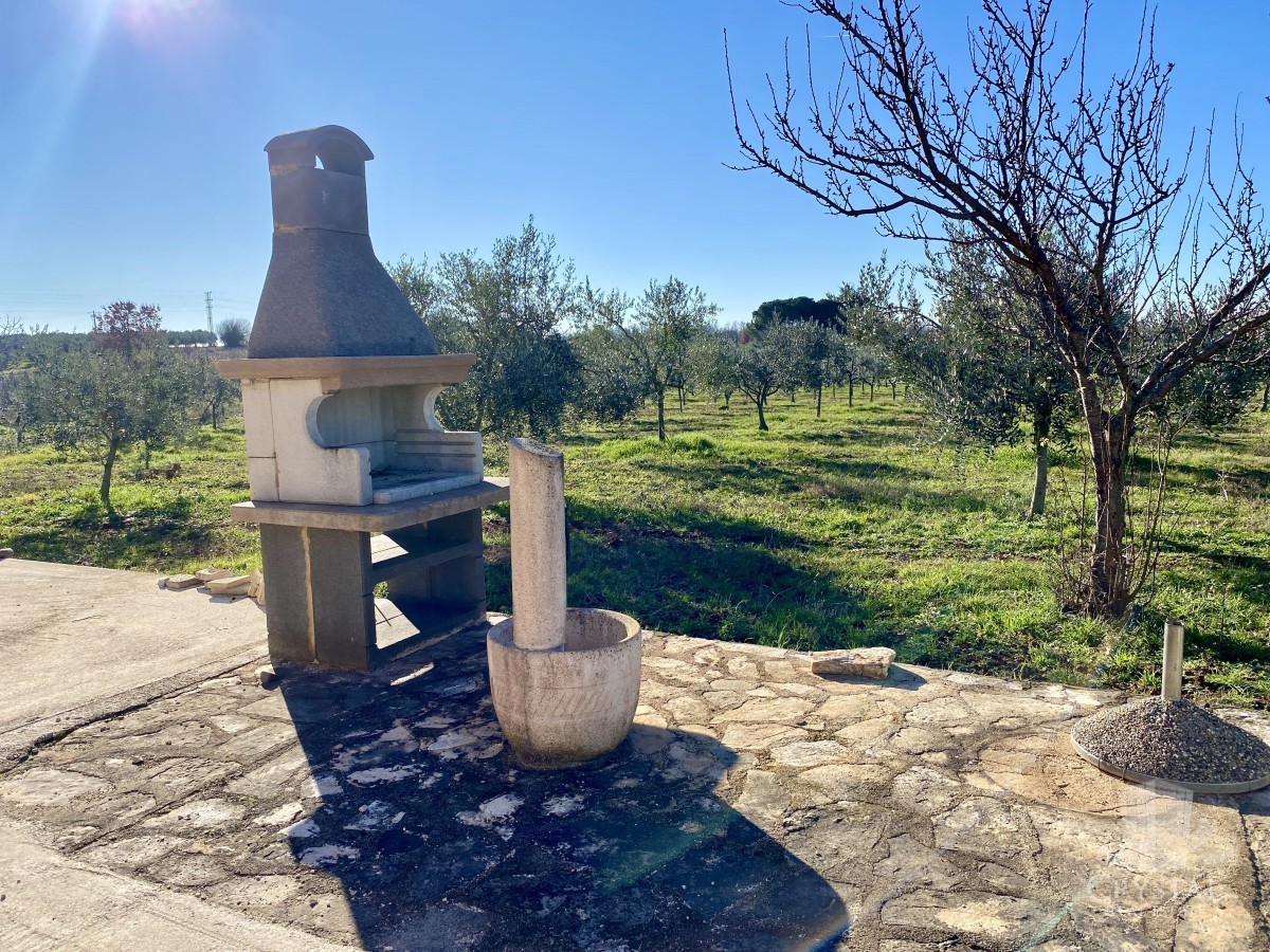 10.324 m2 PROPRIETÀ AGRICOLA CON ULIVETO, VISTA MARE E STRUTTURA LEGALIZZATA: UN'OASI DI PACE A SOLI 3,5 KM DA NOVIGRAD!