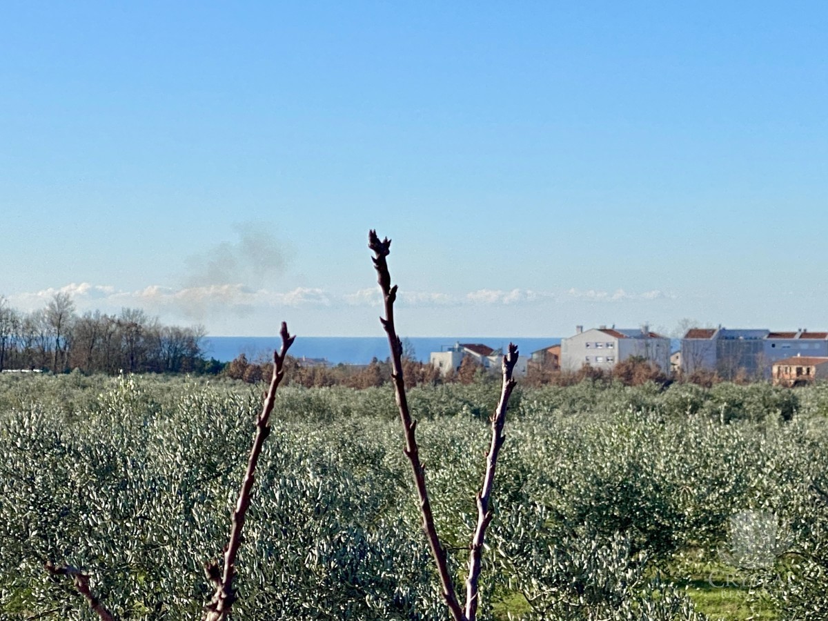 10.324 m2 PROPRIETÀ AGRICOLA CON ULIVETO, VISTA MARE E STRUTTURA LEGALIZZATA: UN'OASI DI PACE A SOLI 3,5 KM DA NOVIGRAD!