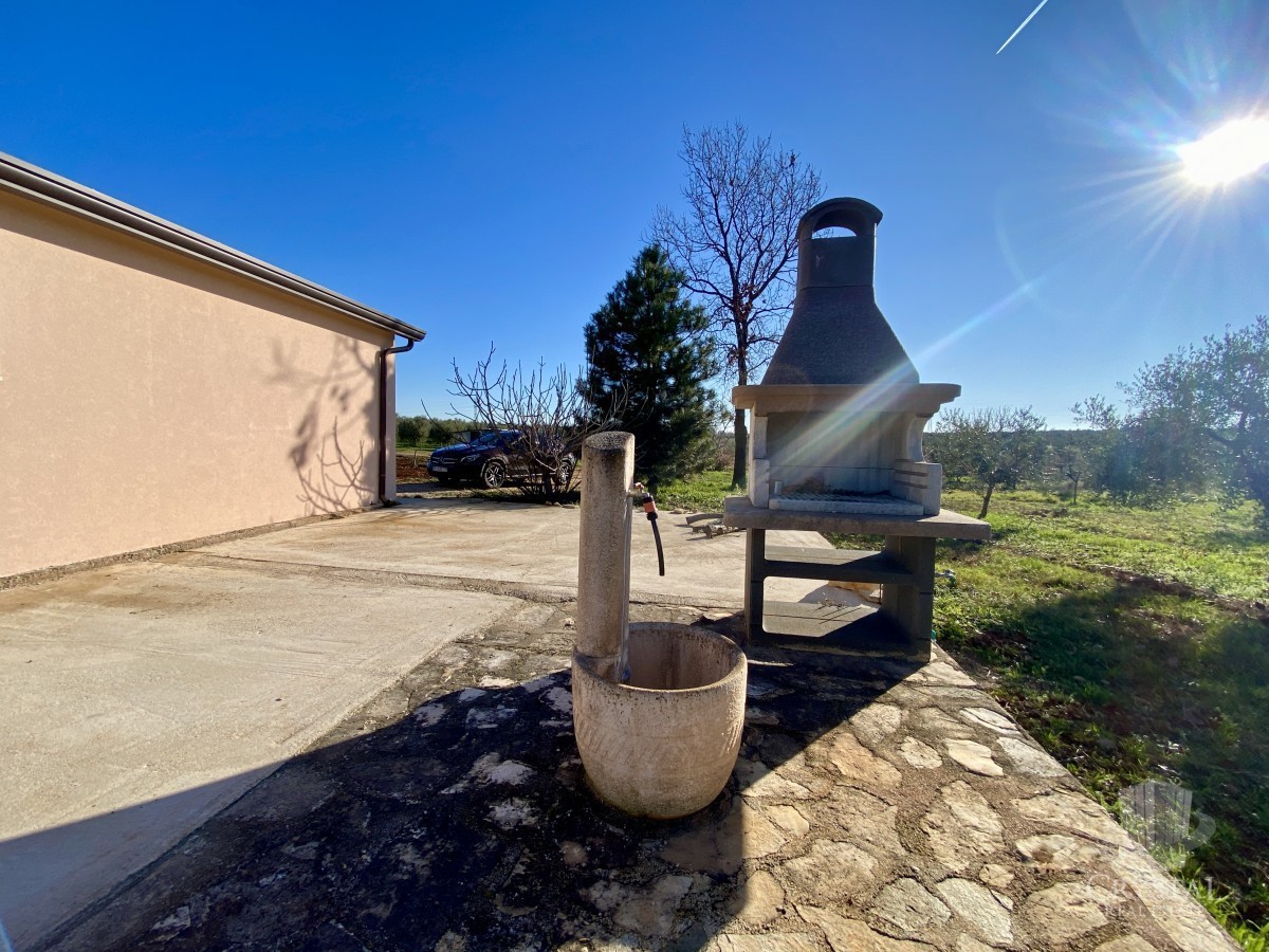 10.324 m2 PROPRIETÀ AGRICOLA CON ULIVETO, VISTA MARE E STRUTTURA LEGALIZZATA: UN'OASI DI PACE A SOLI 3,5 KM DA NOVIGRAD!