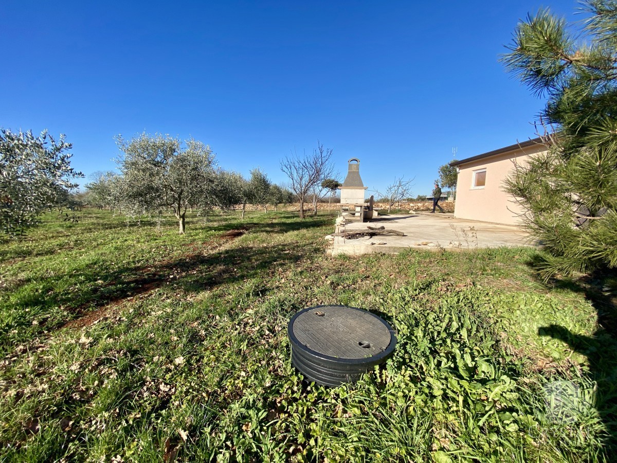 10.324 m2 PROPRIETÀ AGRICOLA CON ULIVETO, VISTA MARE E STRUTTURA LEGALIZZATA: UN'OASI DI PACE A SOLI 3,5 KM DA NOVIGRAD!