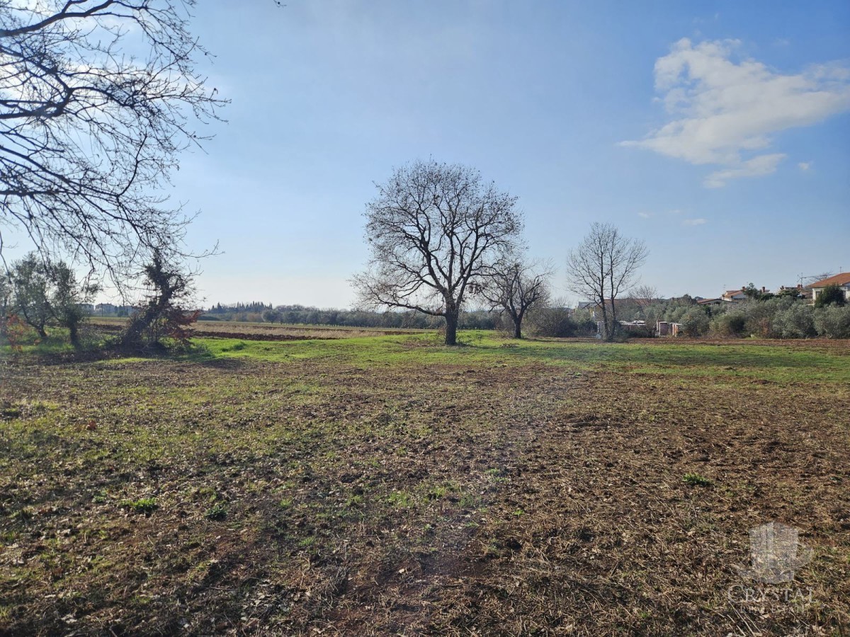 Terreno edificabile a Cittanova