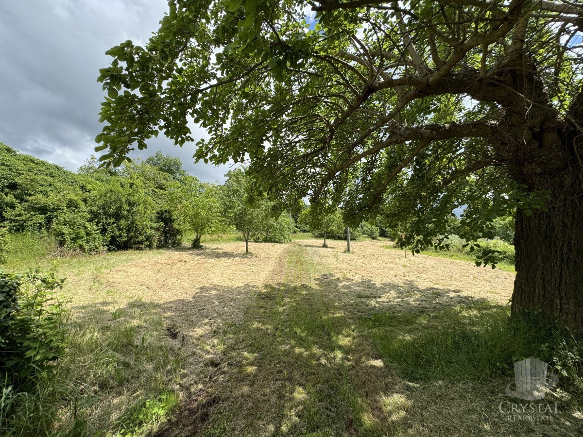CASA IN PIETRA NEI DINTORNI DI OPRTLJ CON AMPIO GIARDINO