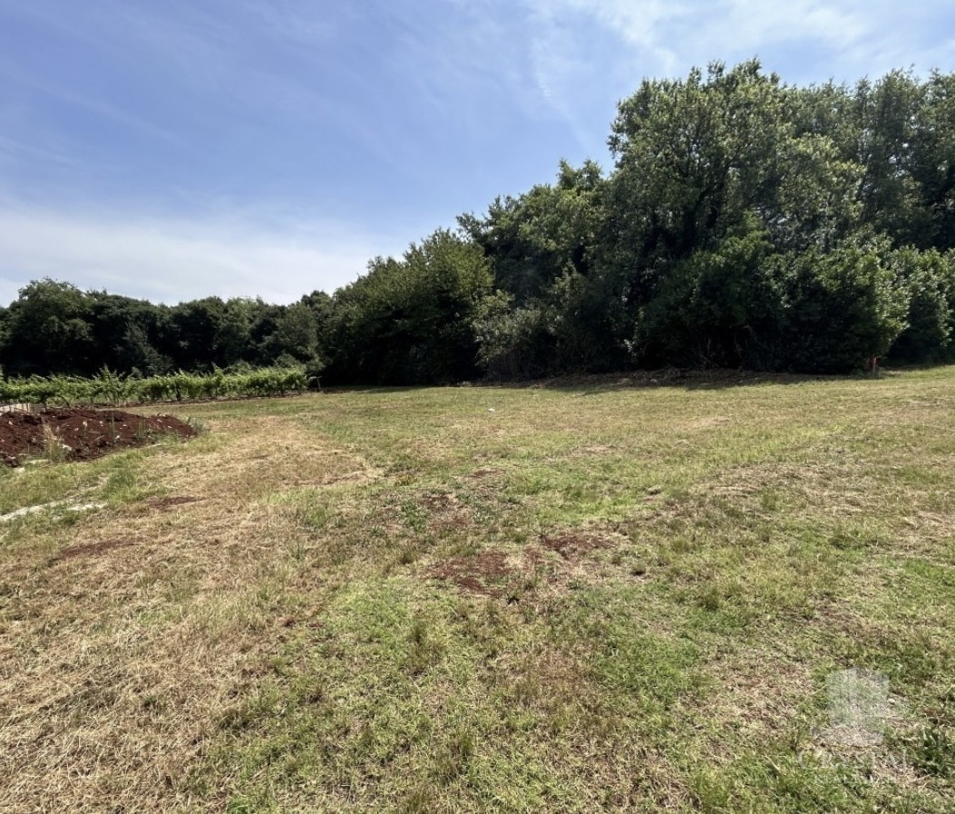 Terreno edificabile vicino a Verteneglio