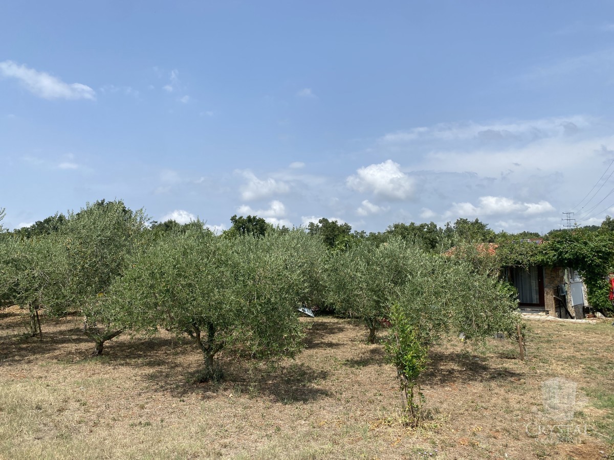 TERRENO AGRICOLO CON EDIFICIO LEGALIZZATO E ULIVI
