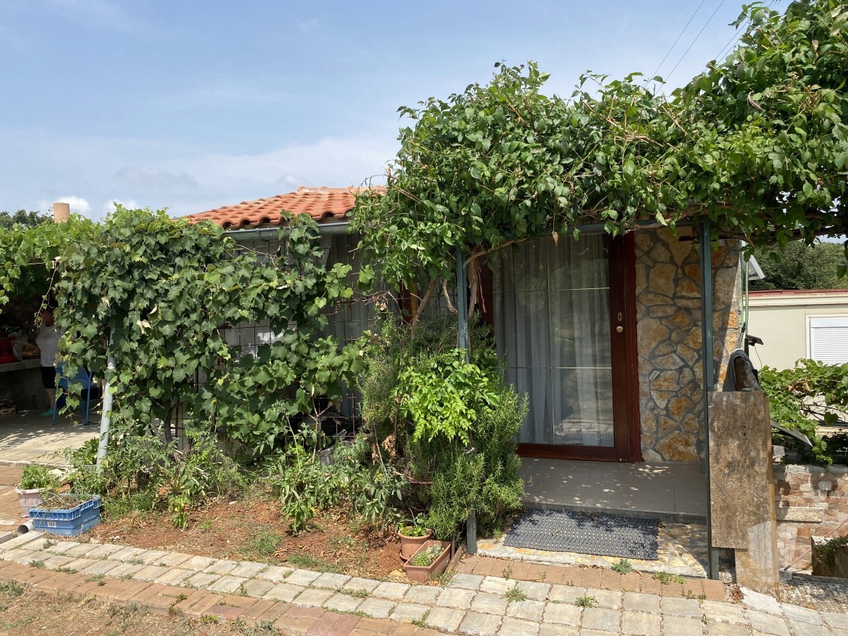 TERRENO AGRICOLO CON EDIFICIO LEGALIZZATO E ULIVI