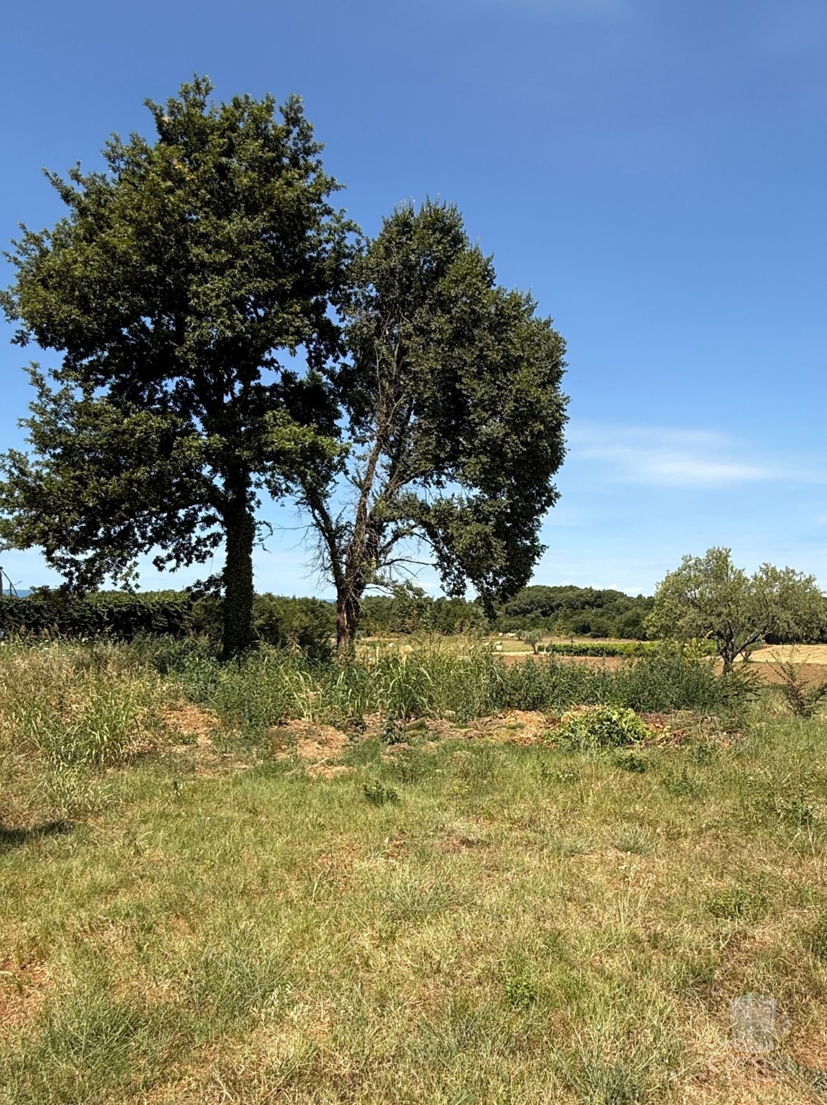 Terreno edificabile vicino a Cittanova