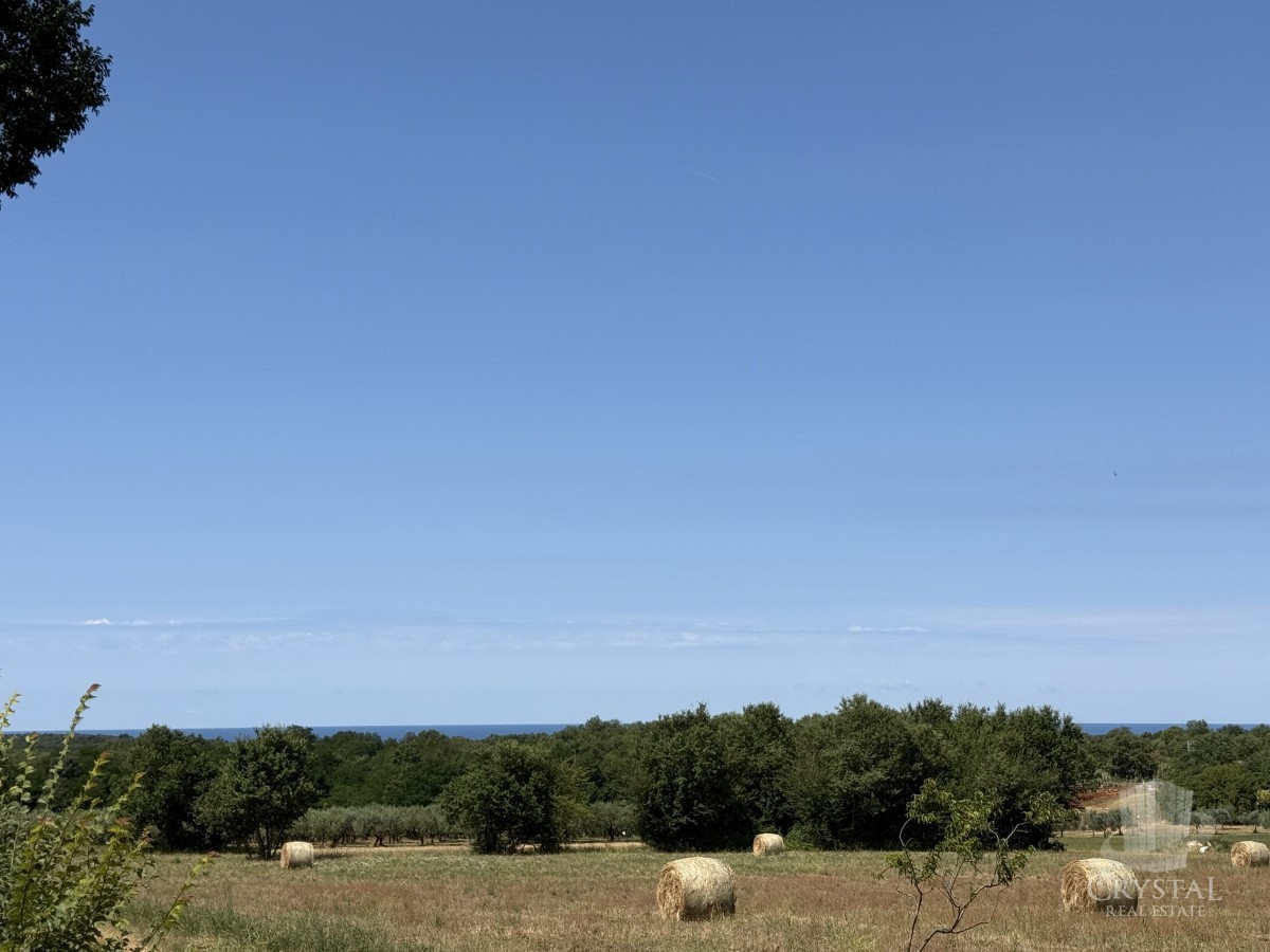 Terreno edificabile vicino a Cittanova