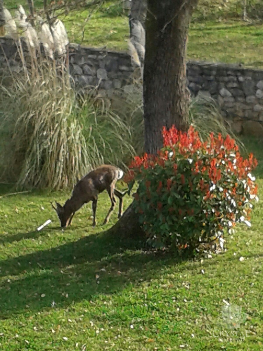 Hotel nelle vicinanze di Novigrad