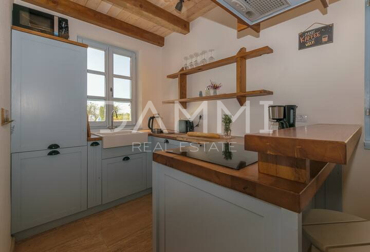 Istra, Svetvinčenat, splendida villa rustica