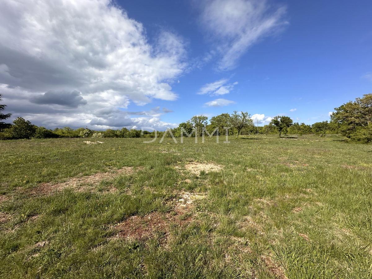 ISTRIA, BARBAN - Ampio terreno edificabile-agricolo con una superficie di 13793 m2