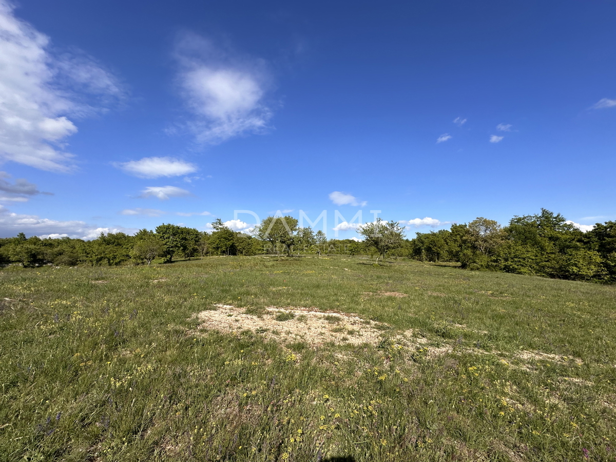 ISTRIA, BARBAN - Ampio terreno edificabile-agricolo con una superficie di 13793 m2