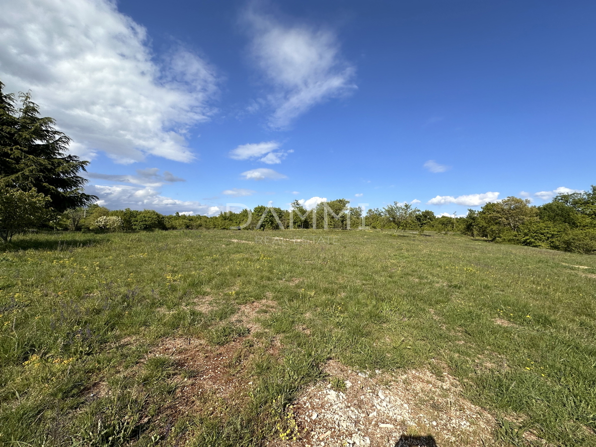 ISTRIA, BARBAN - Ampio terreno edificabile-agricolo con una superficie di 13793 m2