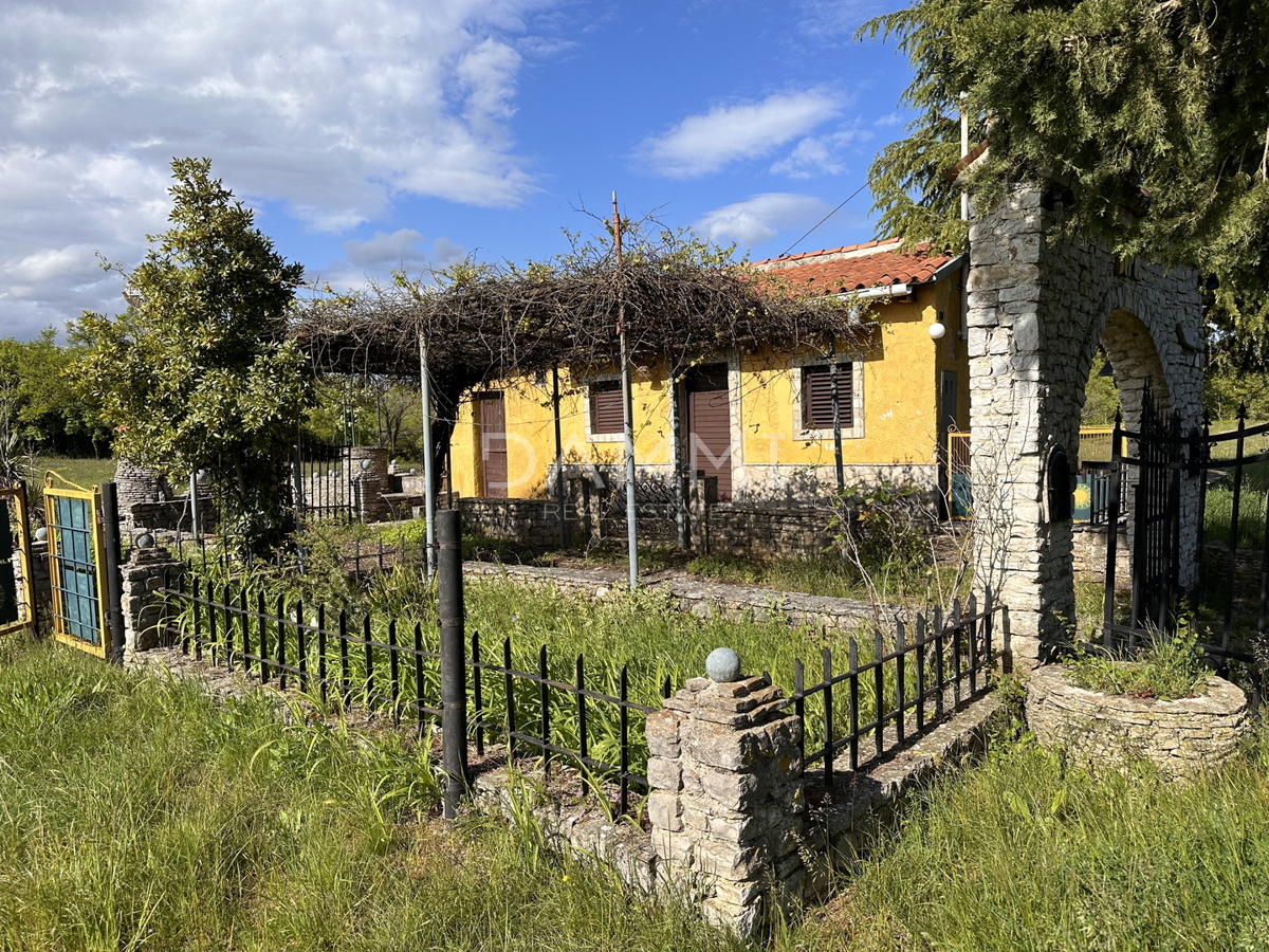 ISTRIA, BARBAN - Ampio terreno edificabile-agricolo con una superficie di 13793 m2