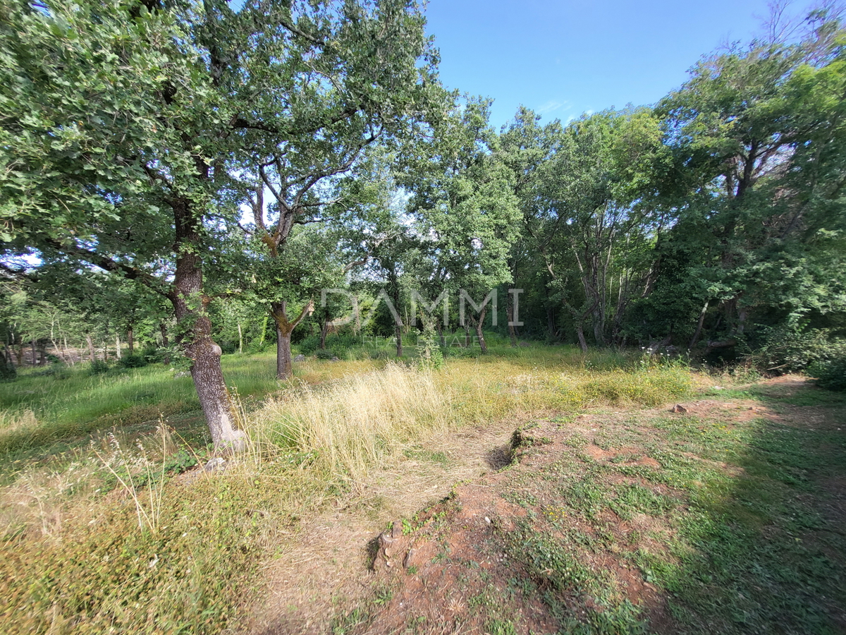ISTRA, VRSAR - Casa indipendente in pietra con piscina