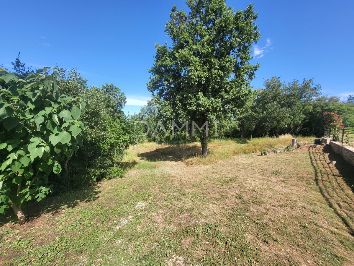 ISTRA, VRSAR - Casa indipendente in pietra con piscina