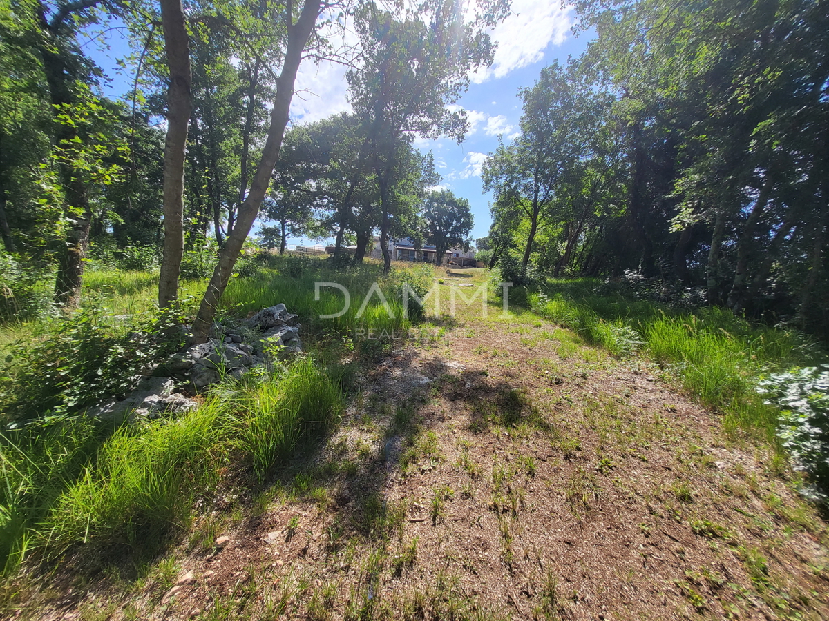 ISTRA, VRSAR - Casa indipendente in pietra con piscina
