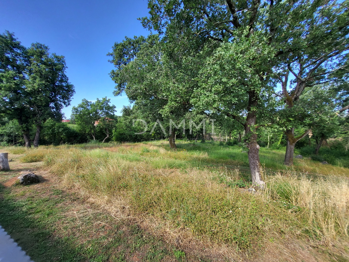 ISTRA, VRSAR - Casa indipendente in pietra con piscina