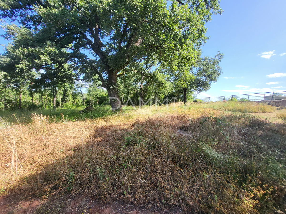 ISTRA, VRSAR - Casa indipendente in pietra con piscina