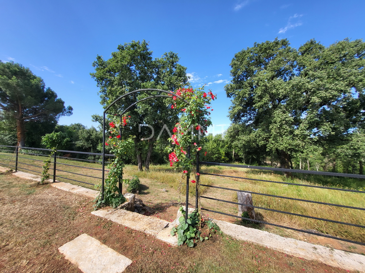ISTRA, VRSAR - Casa indipendente in pietra con piscina