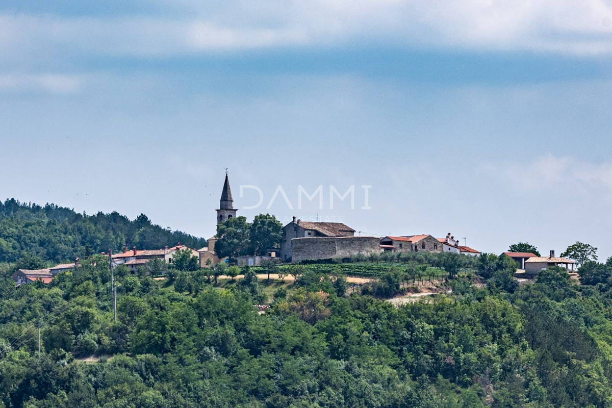 ISTRIA, DRAGUĆ - AFFASCINANTE VILLA IN VISTA SECONDARIA CON VISTA NATURA INCONTAMINATA