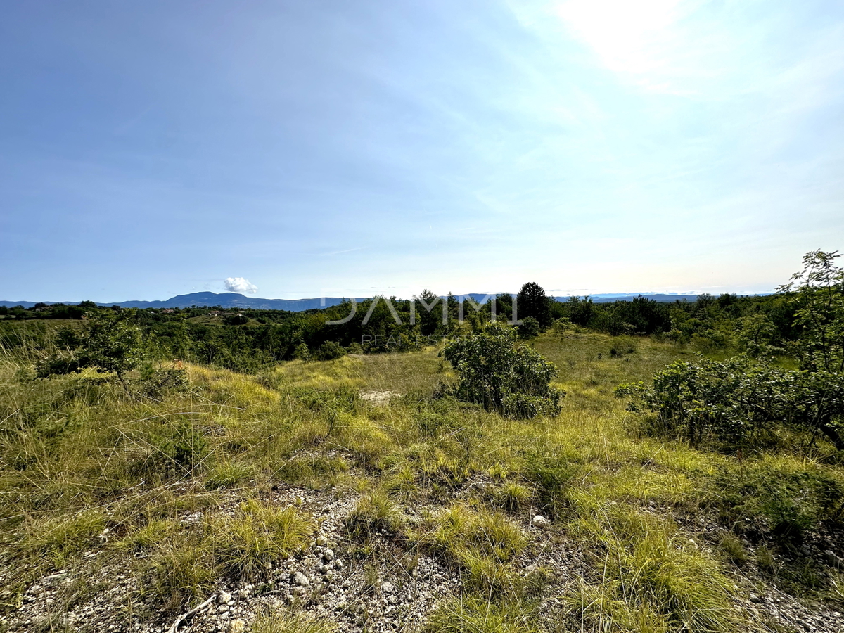 ISTRIA CENTRALE - Terreno agricolo 50.860 mq con vista panoramica