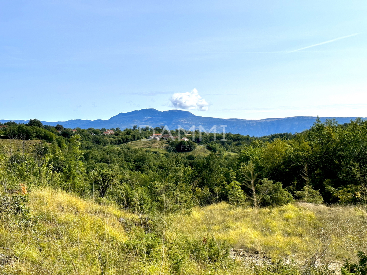 ISTRIA CENTRALE - Terreno agricolo 50.860 mq con vista panoramica