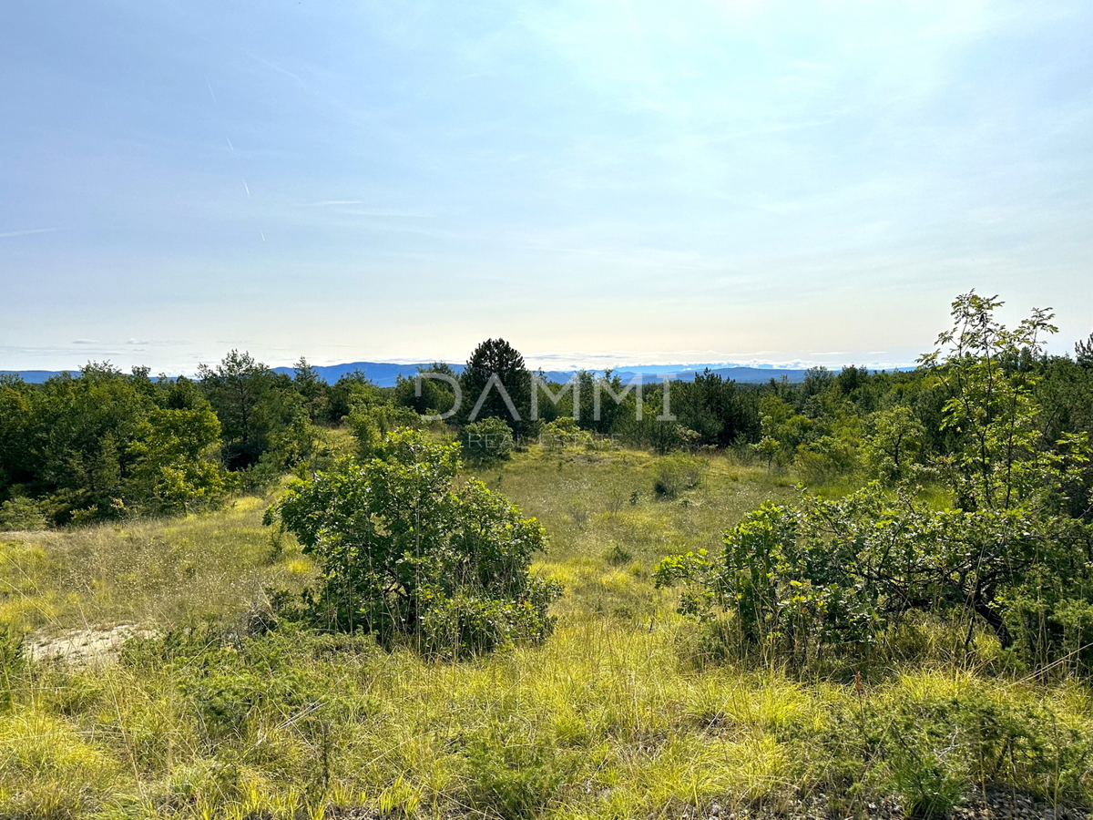 ISTRIA CENTRALE - Terreno agricolo 50.860 mq con vista panoramica