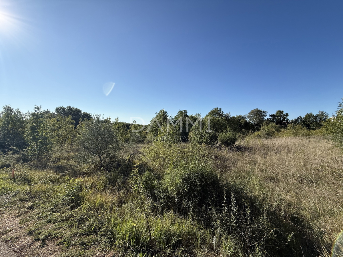 MARČANA, DIVŠIĆI - Terreno edificabile con infrastrutture 620 m2