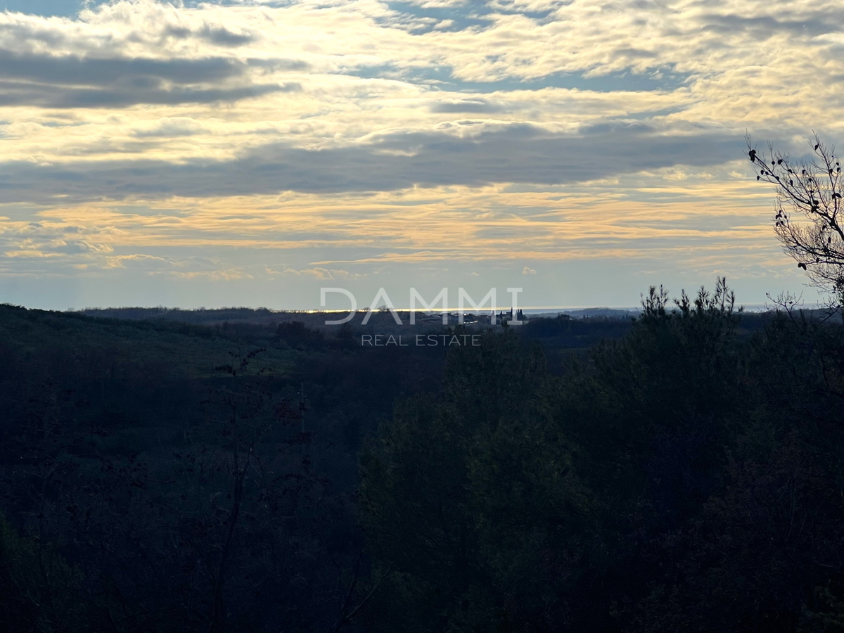ISTRIA, BUJE - Casa con 2500m2 di terreno edificabile, vista mare VENDITA IN ESCLUSIVA