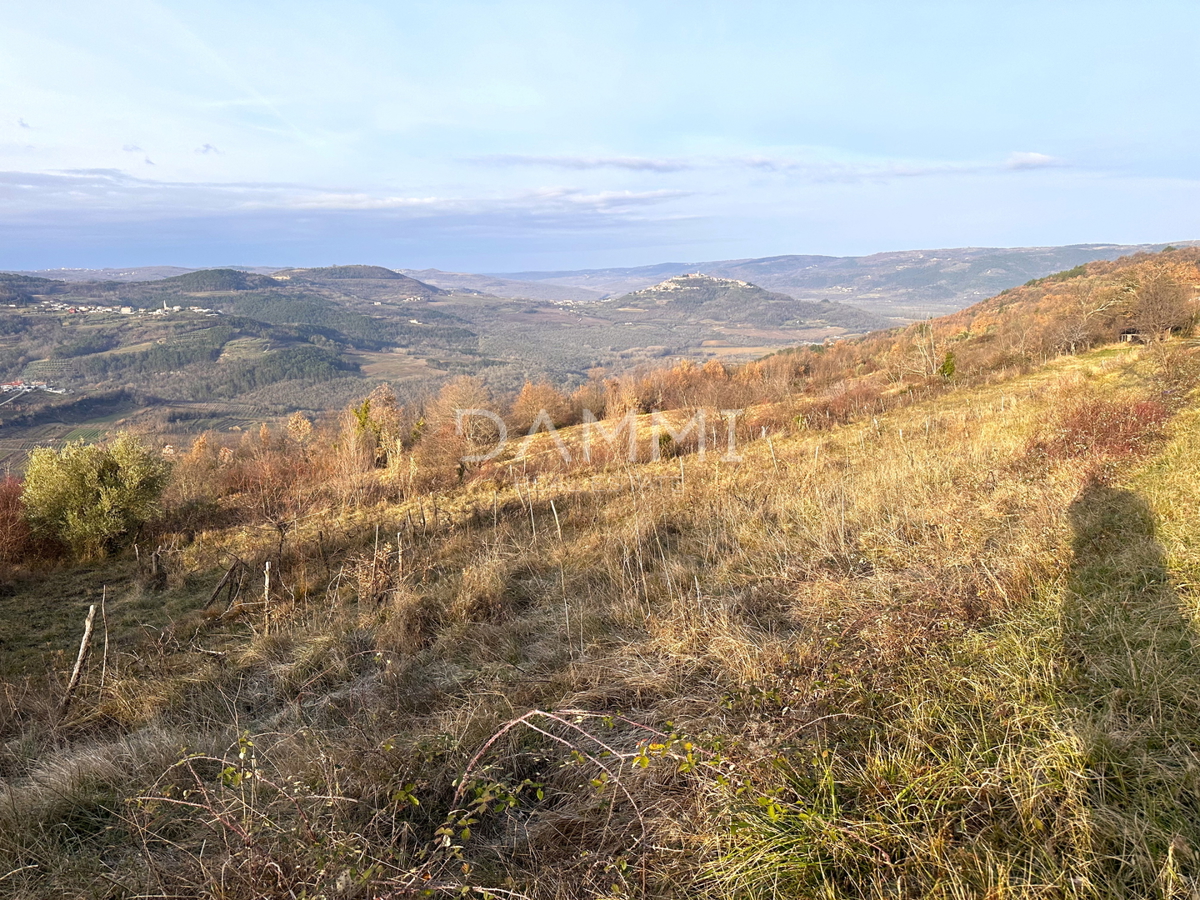 MOTOVUN, ZAMASK - Terreno edificabile con vista panoramica su Montona