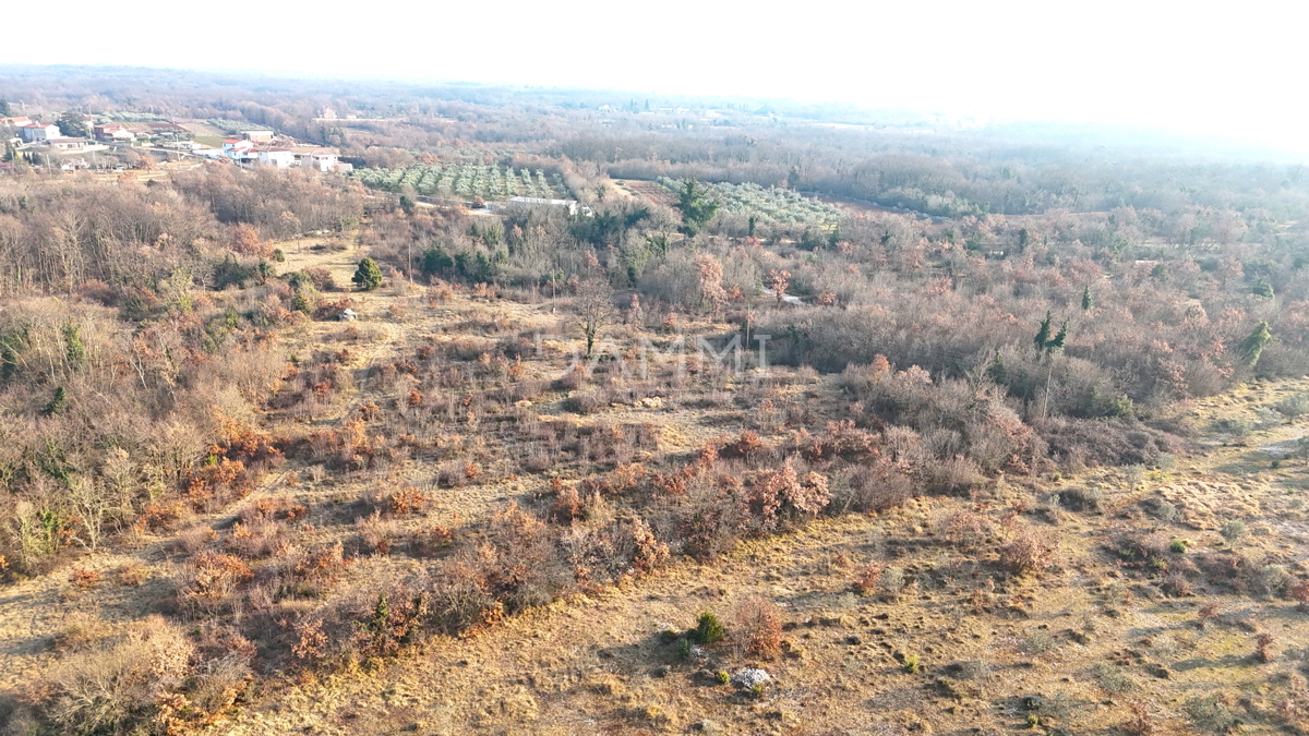 ISTRIA, SVETVINČENAT - Ampio terreno per il turismo