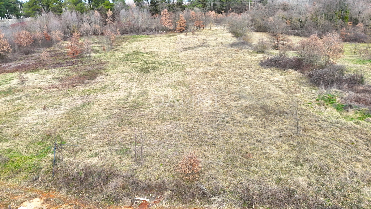 ISTRA, SVETVINCENAT - Terreno edificabile vicino al centro città