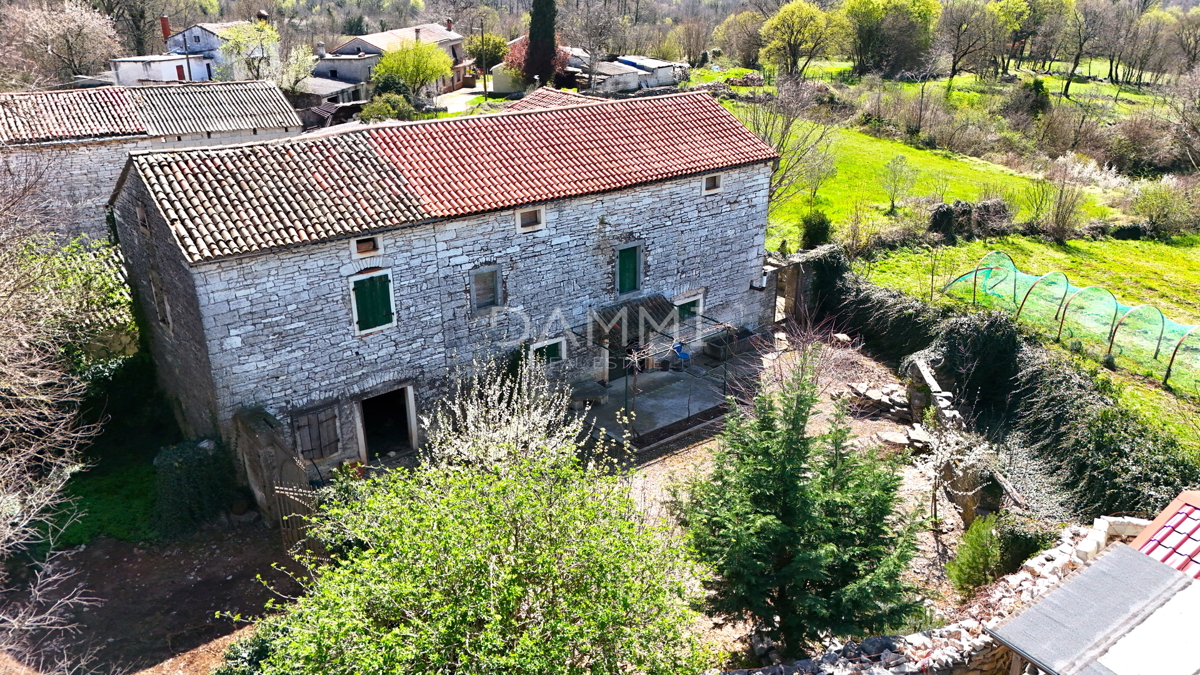 ISTRA, ŽMINJ - Tradizionale casa in pietra con giardino di 700 m2