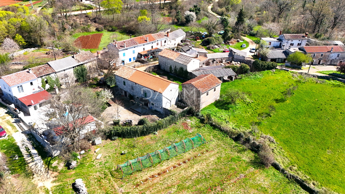 ISTRA, ŽMINJ - Tradizionale casa in pietra con giardino di 700 m2