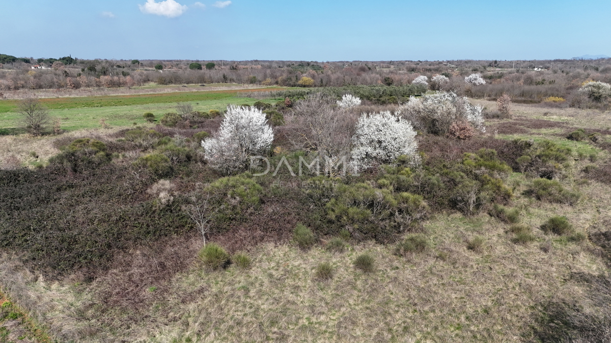 Istra, Marčana - terreno edificabile in zona industriale